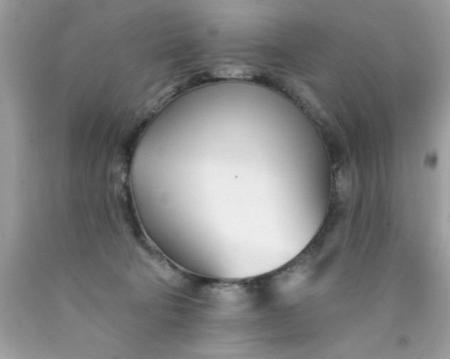 X0000090480322200707272324