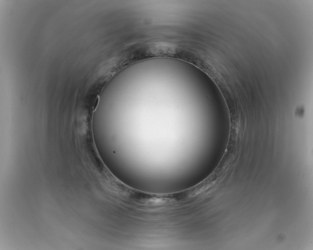 X0000090480323200707272324