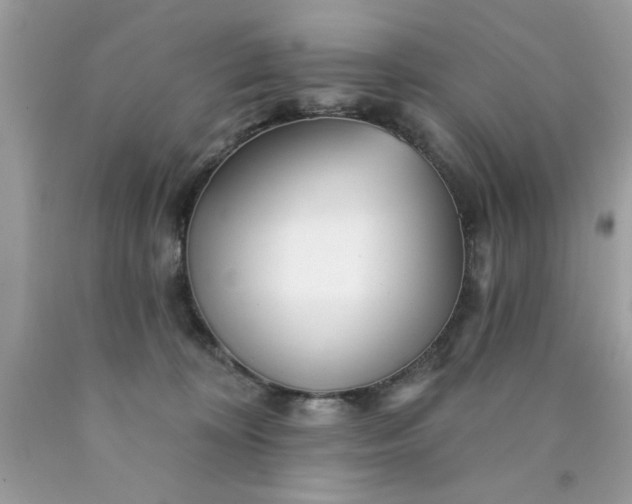 X0000090480324200707272324
