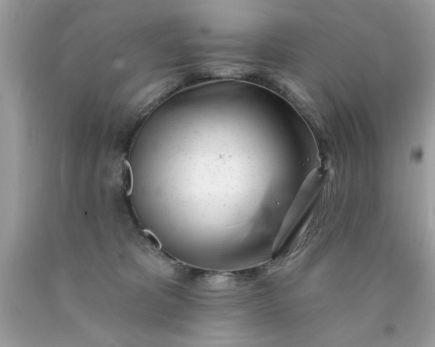 X0000090480325200707272324