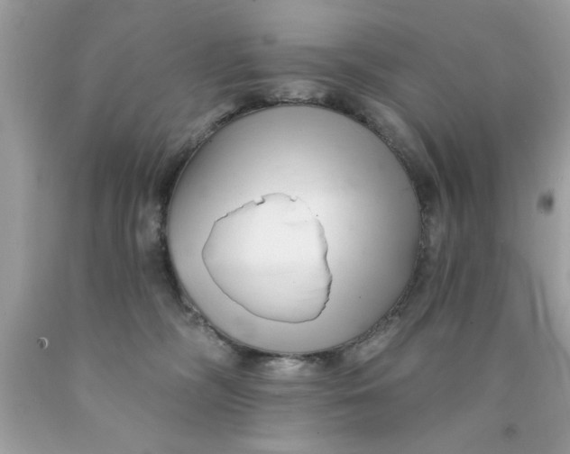 X0000090480326200707272324