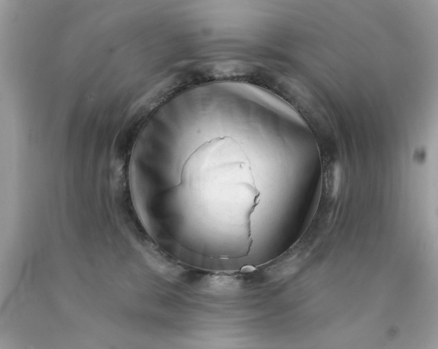 X0000090480327200707272324