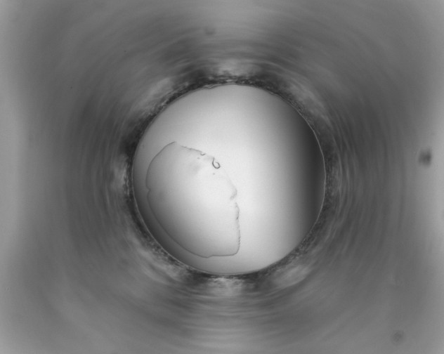 X0000090480328200707272324