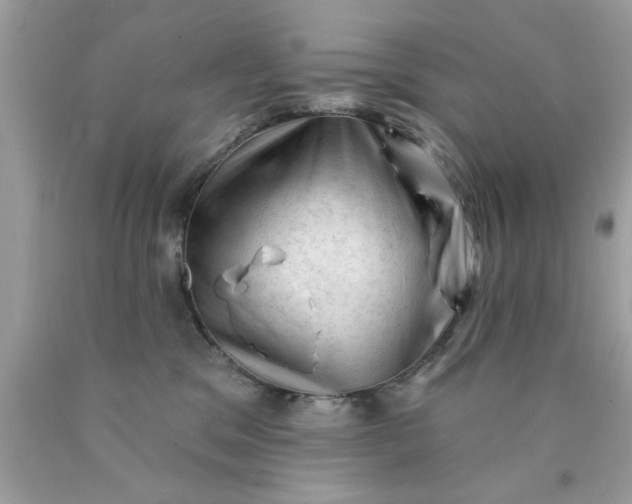 X0000090480329200707272324
