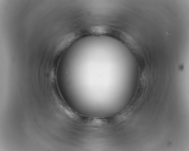 X0000090480330200707272324
