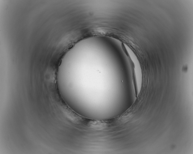 X0000090480331200707272324