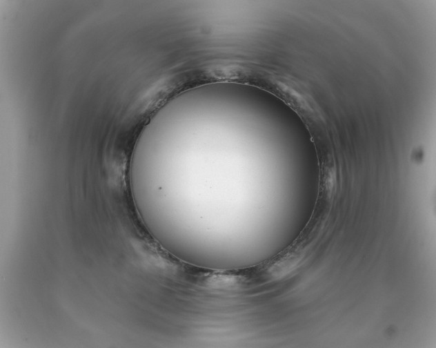 X0000090480332200707272324