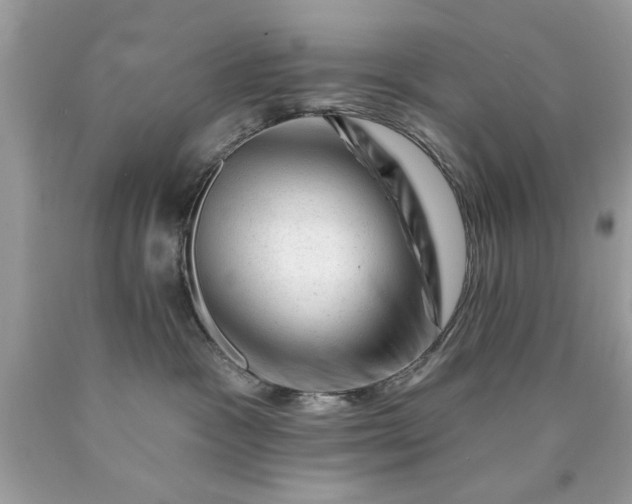 X0000090480333200707272324
