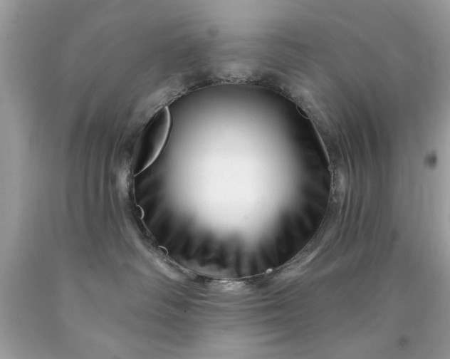 X0000090480334200707272324