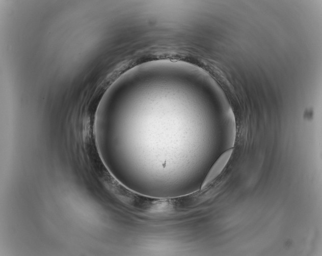 X0000090480335200707272324