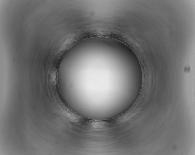 X0000090480336200707272324