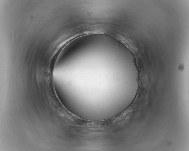 X0000090480338200707272323