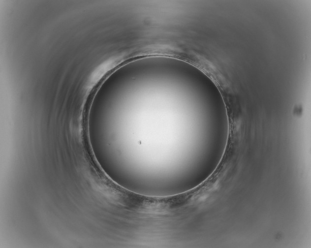 X0000090480340200707272323