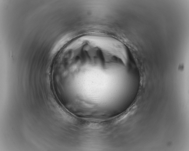 X0000090480341200707272323