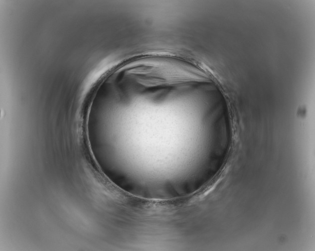 X0000090480343200707272323