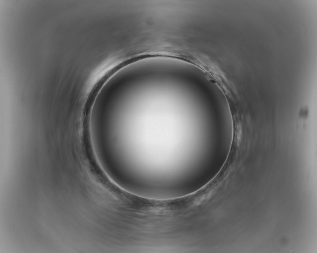 X0000090480344200707272323