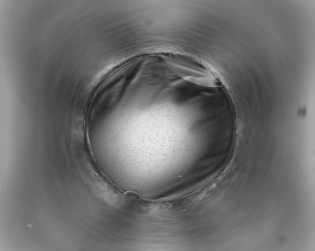 X0000090480345200707272323