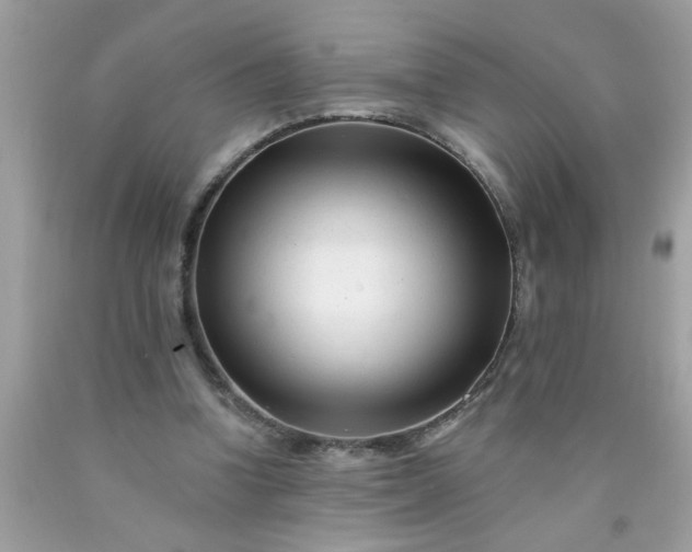 X0000090480346200707272323