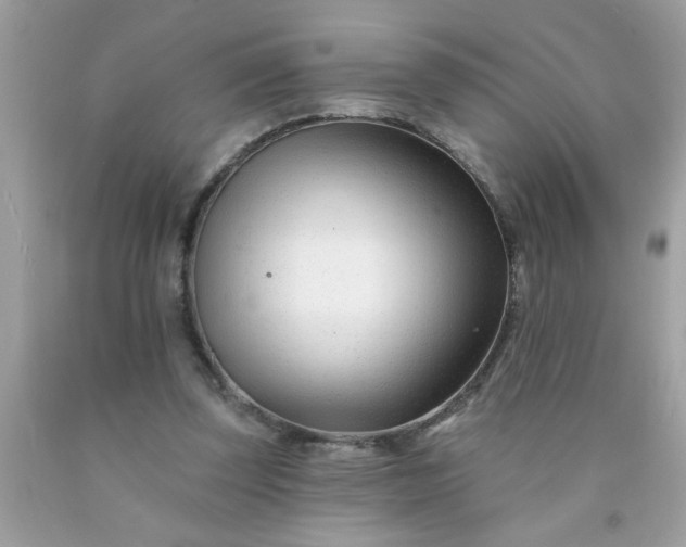 X0000090480347200707272323