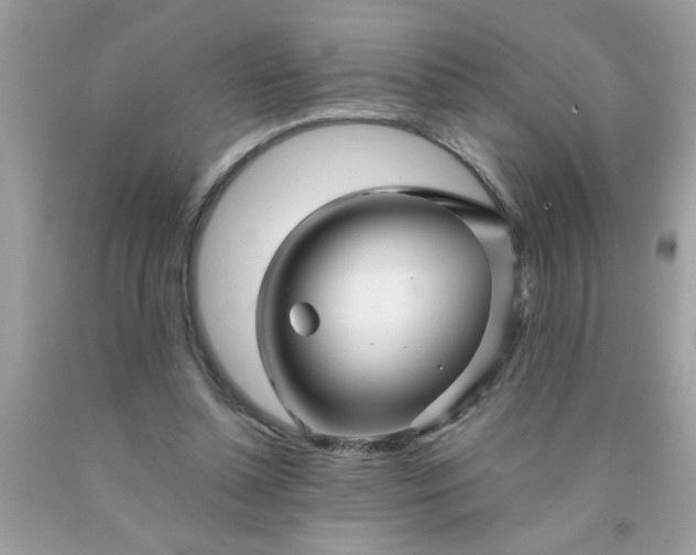 X0000090480348200707272323
