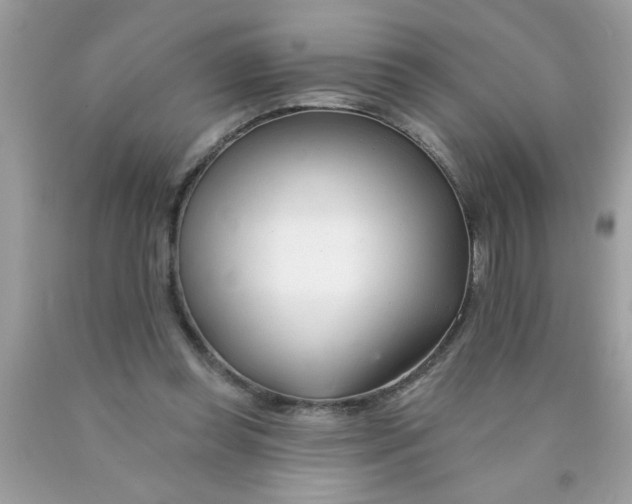 X0000090480349200707272323