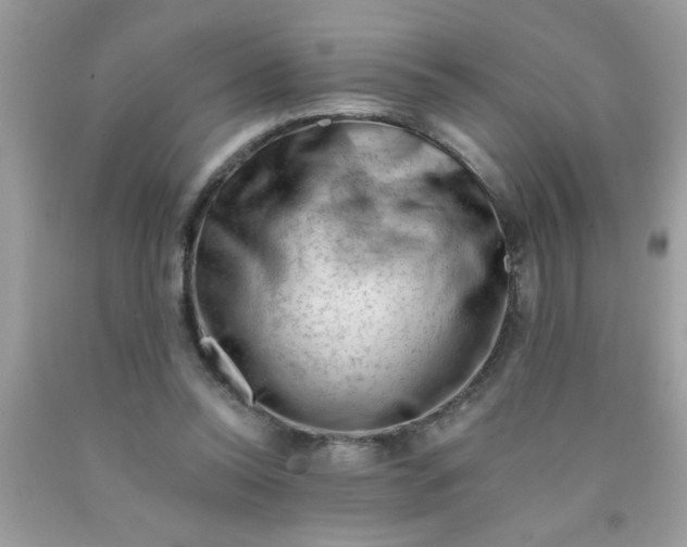 X0000090480350200707272323