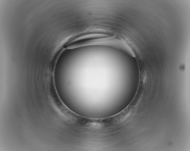 X0000090480352200707272324