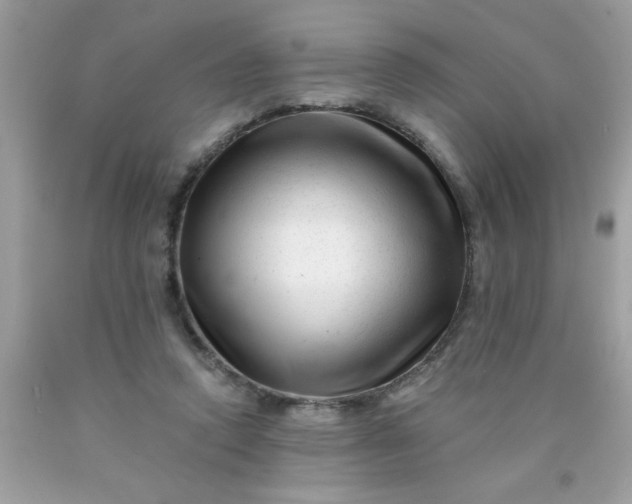 X0000090480354200707272324