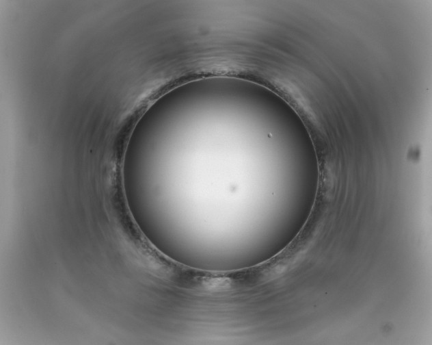 X0000090480355200707272324