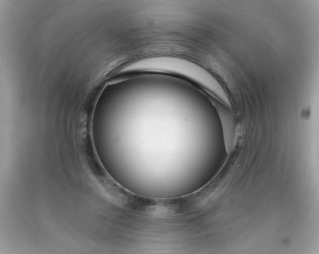 X0000090480356200707272324