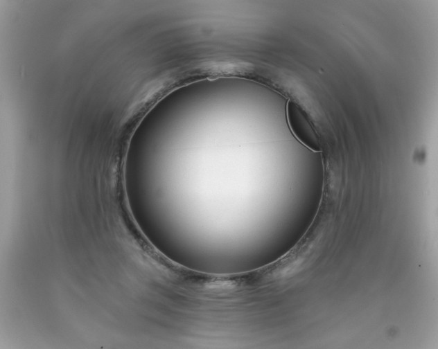 X0000090480357200707272324