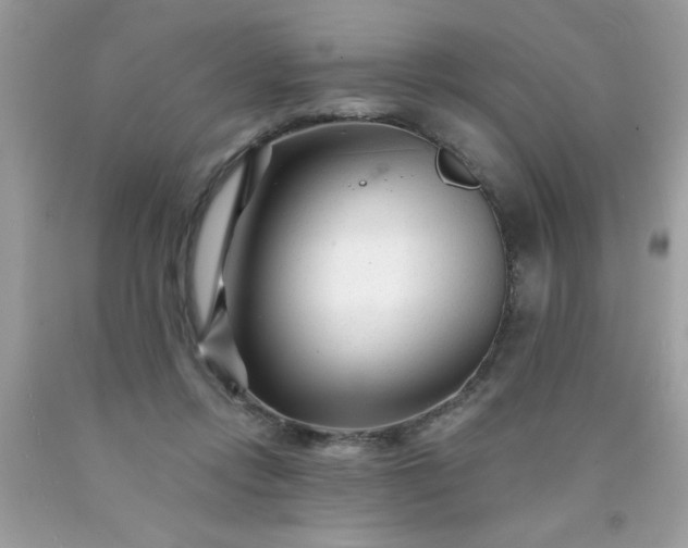 X0000090480358200707272324