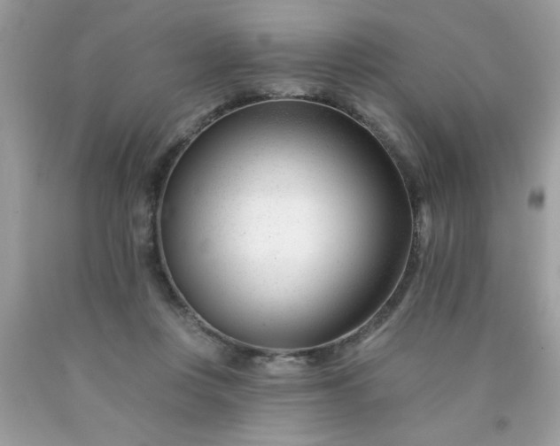 X0000090480359200707272324