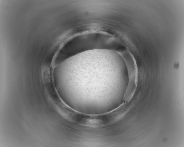X0000090480360200707272324