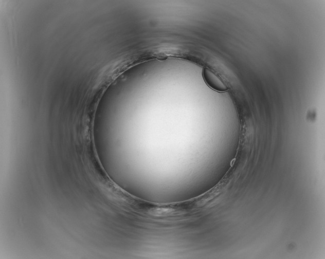 X0000090480361200707272324