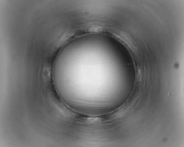 X0000090480363200707272324