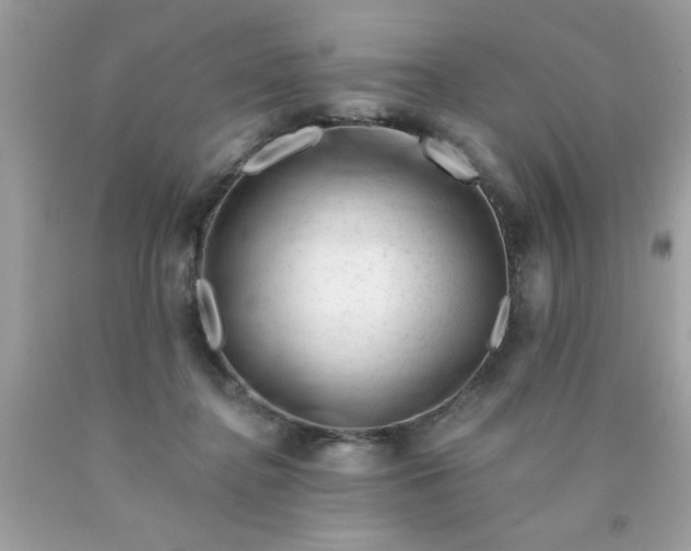 X0000090480364200707272324