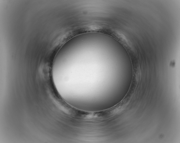 X0000090480366200707272324