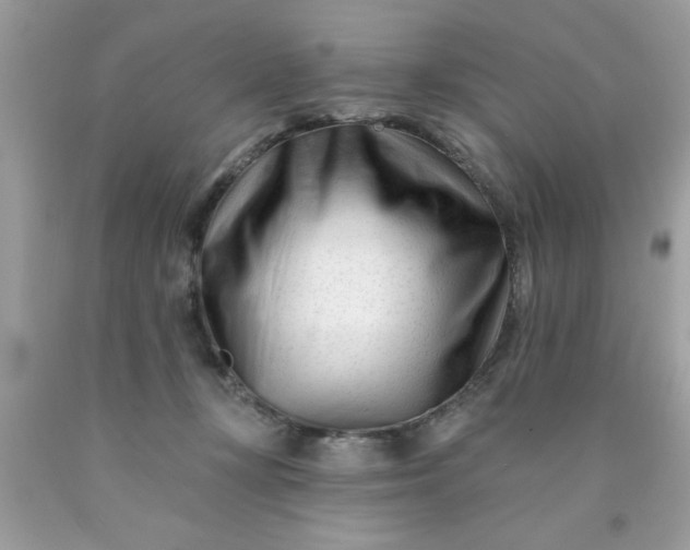 X0000090480367200707272324