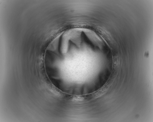 X0000090480369200707272324