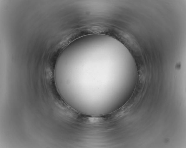 X0000090480371200707272324