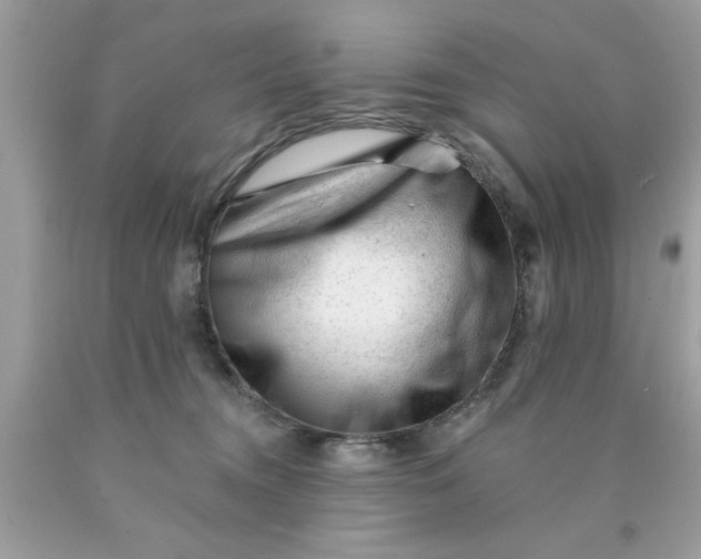 X0000090480372200707272324