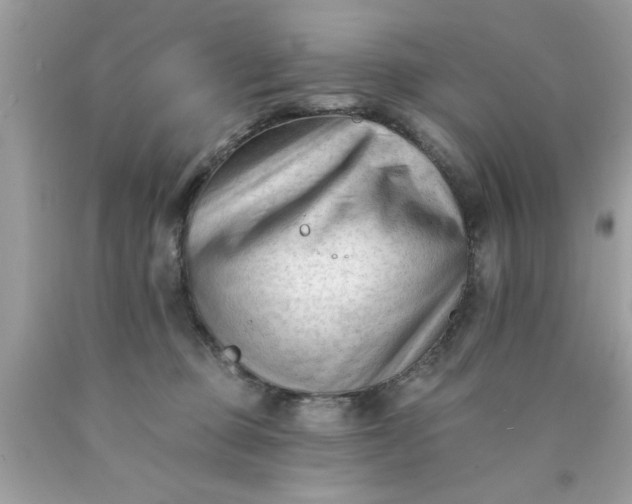 X0000090480373200707272324