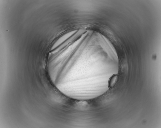 X0000090480374200707272324