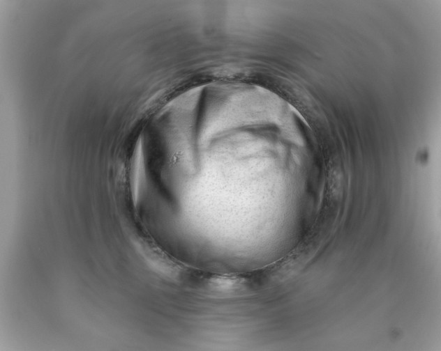 X0000090480375200707272324