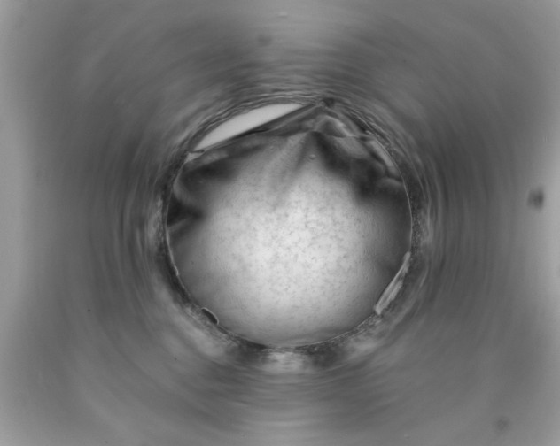 X0000090480376200707272324