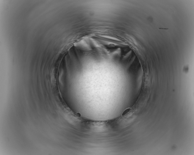 X0000090480377200707272324