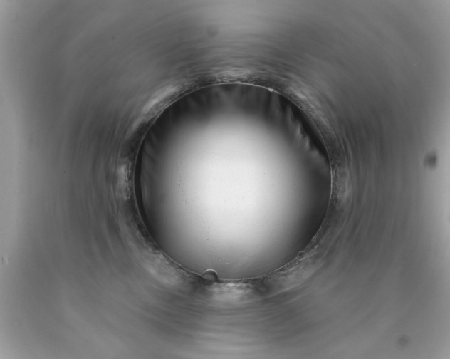 X0000090480378200707272324