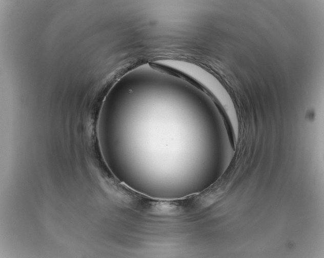 X0000090480380200707272324