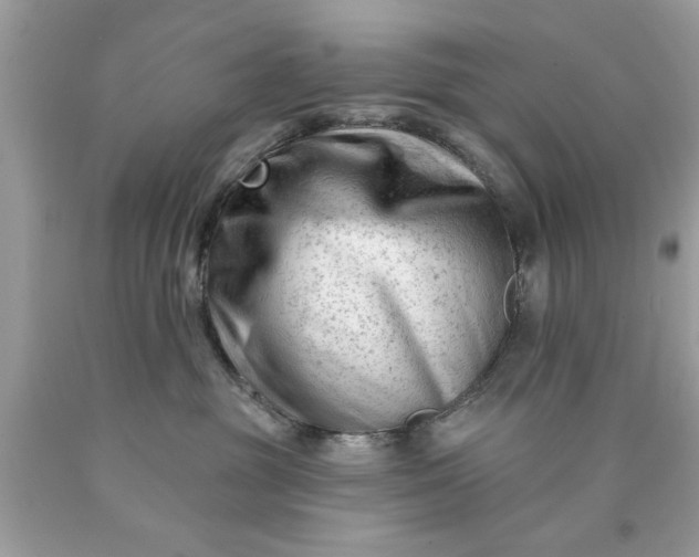 X0000090480381200707272324
